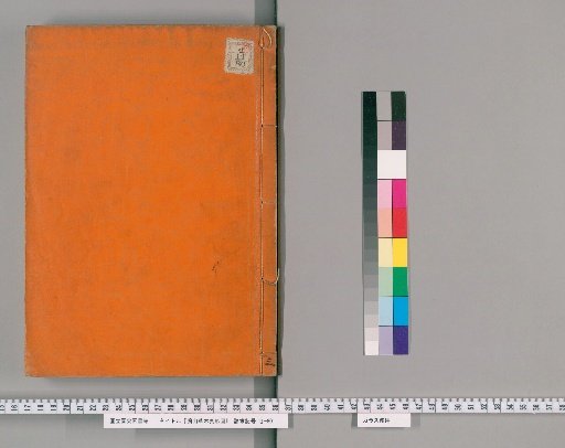Illustrated Forms of Plants and Trees of Ranzan [3]