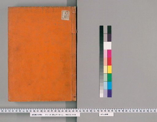Illustrated Forms of Plants and Trees of Ranzan [4]