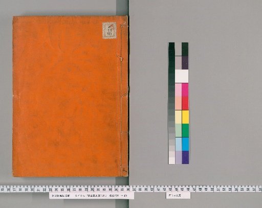 Illustrated Forms of Plants and Trees of Ranzan [5]