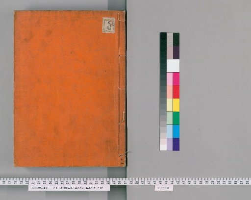 Illustrated Forms of Plants and Trees of Ranzan [11]