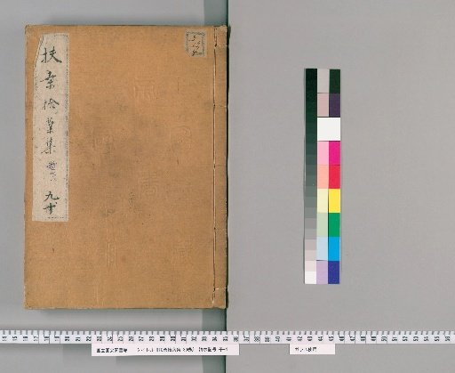 Collection of Fallen Leaves from Japan, 30 volumes [5]