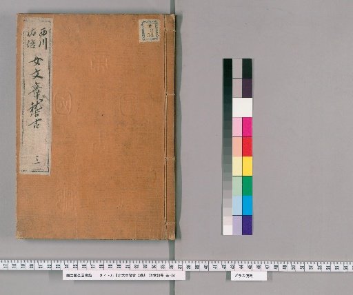 Female Writing Practice, 2 Volumes [1]