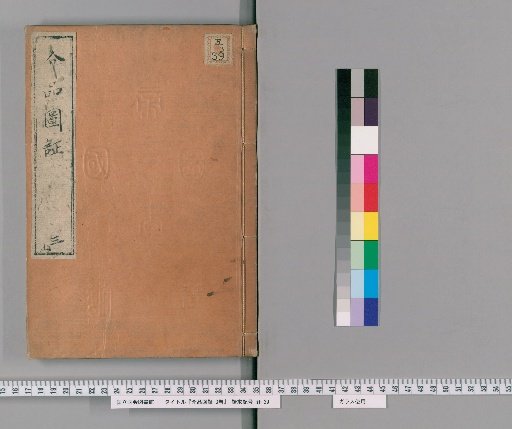 Illustrated Evidence of the Kaihin Collection, Vol. 3 [3]