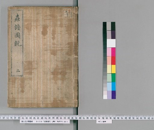 Illustrated Treatise on Insects, 12 Volumes [2]