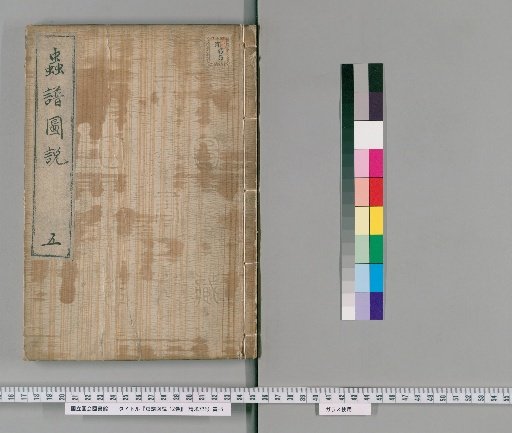 Illustrated Treatise on Insects, 12 Volumes [5]
