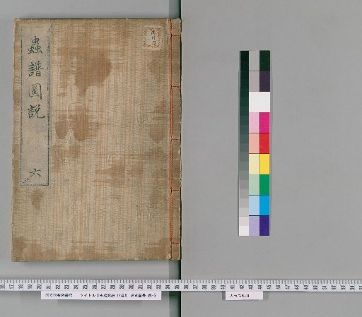 Illustrated Treatise on Insects, 12 Volumes [6]