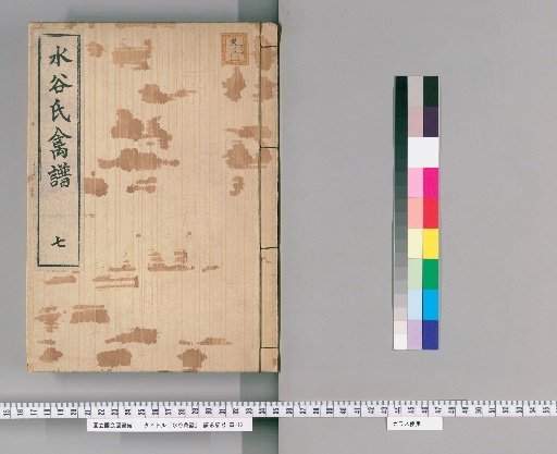 Mizutani Kinpu [5]