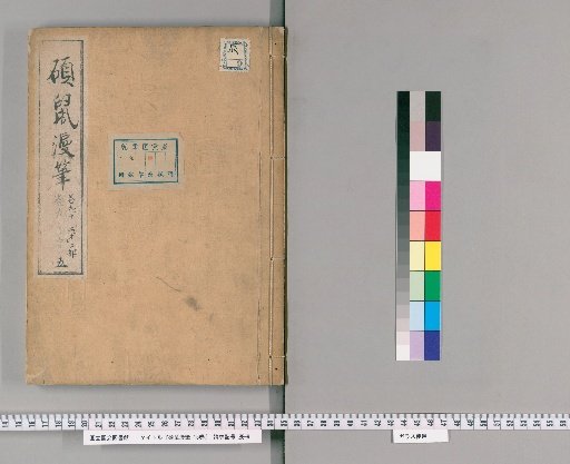 Random Notes of the Giant Rat, 15 Volumes