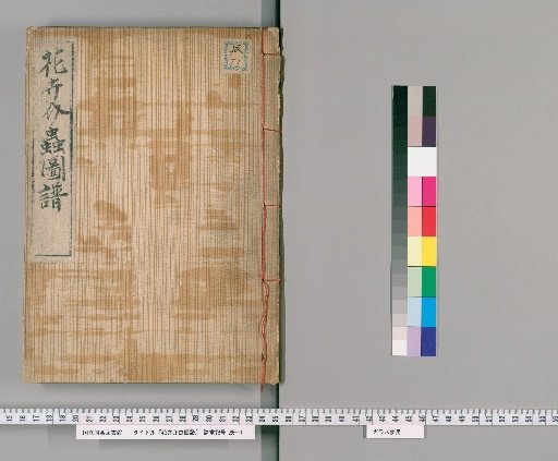 Illustrated Catalogue of Flowers, Plants, and Insects