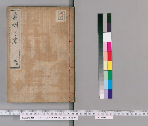 Far, Far, Far Grass, 4 Volumes
