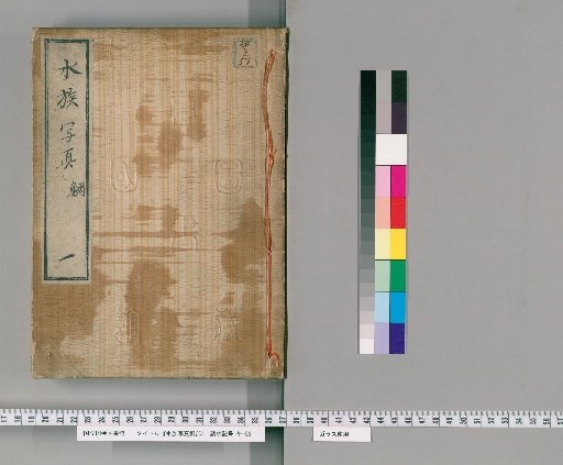 Suijoku Shashin Tai-bu [1]