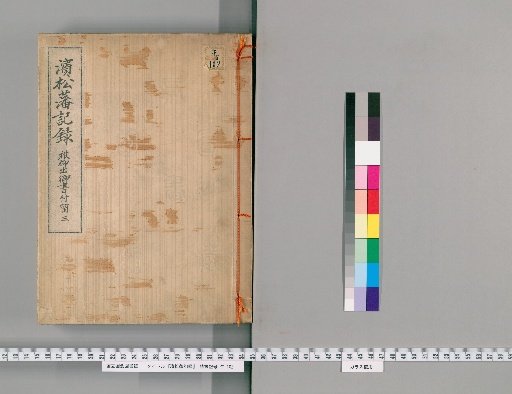 Records of the Hamamatsu Domain, Volume 3