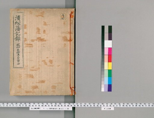Records of the Hamamatsu Domain, Volume 4