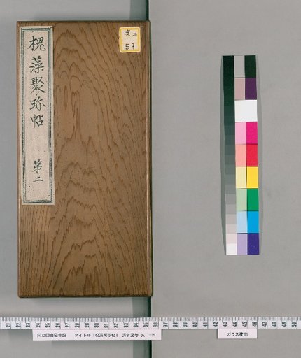 Collection of Treasures from the Locust Tree and Algae [2]