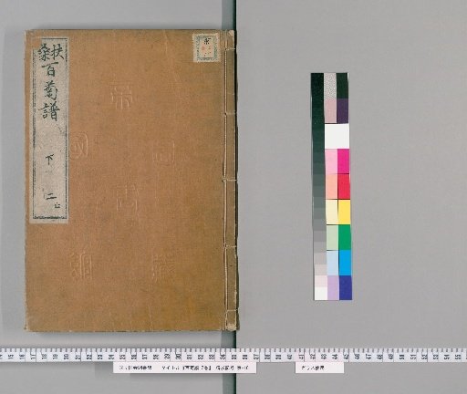 Hyakukikufu, 2 Volumes [2]