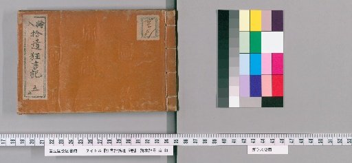 Supplement to the Records of Sarumawashi, 5 volumes [3]