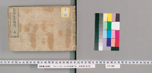 Courtesan Colors and Shamisen, Vol. 5 [3]