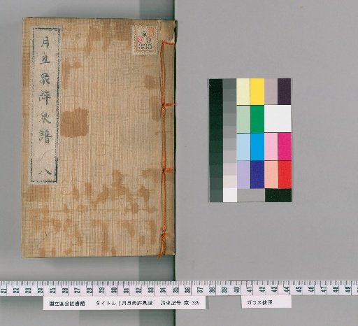 Monthly Evaluation of Coin Catalogue