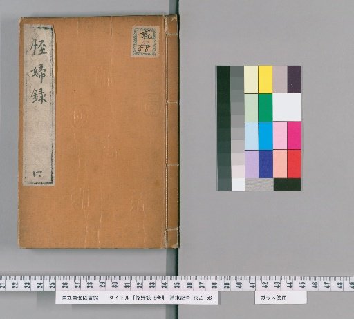 Record of Strange Women, Vol. 5 [4]