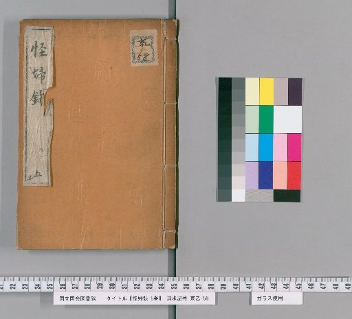 Record of Strange Women, Vol. 5 [5]