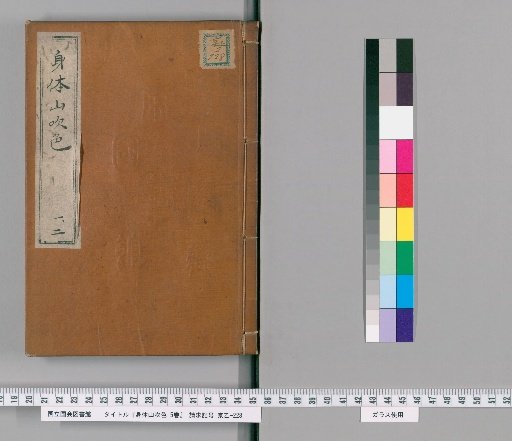 Body in Mountain Broom Color, 5 Volumes [1]