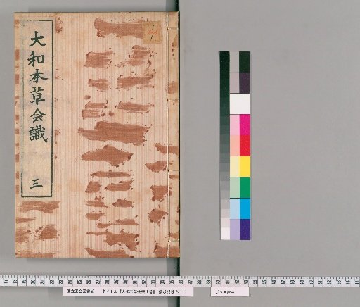 Japanese Compendium of Materia Medica: A Collection of Knowledge Vol. 5 [3]