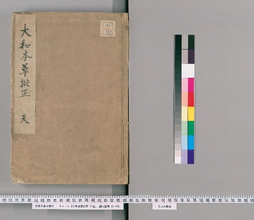 Corrected Japanese Materia Medica, 15 Volumes [1]