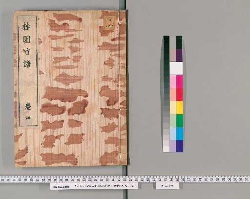 Illustrated Record of Bamboo from the Osmanthus Garden, 5 Volumes with 1 Supplementary Volume [4]