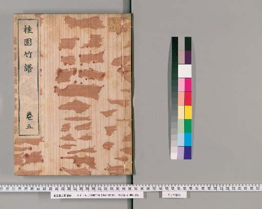 Illustrated Record of Bamboo from the Osmanthus Garden, 5 Volumes with 1 Supplementary Volume [5]