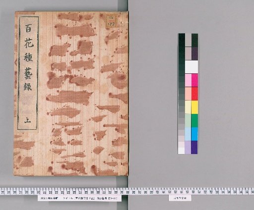 Record of Flower Cultivation, 2 Volumes [1]