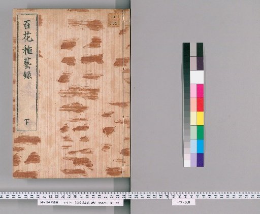 Record of Flower Cultivation, 2 Volumes [2]