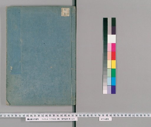 True Biography of the Medical Official, 2 vols. [1]