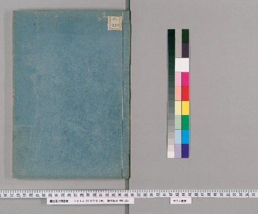 True Biography of the Medical Official, 2 vols. [2]