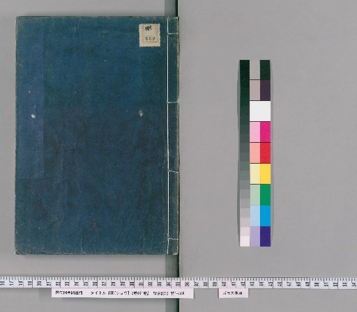Medical Remnants, 3 volumes plus 1 volume of appendices [3]