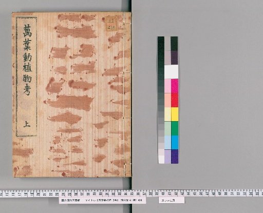 Examination of the Many Leaves on Flora and Fauna, 3 Volumes [1]