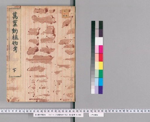 Examination of Flora and Fauna in the Many Leaves, 3 volumes [3]