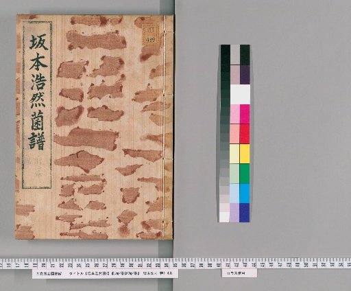 Sakamoto Kōen's Fungal Compendium, Part 1 (2 volumes) and Part 2 (2 volumes), [1]