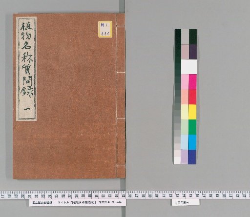 [Record of Questions on Plant Names], [1]