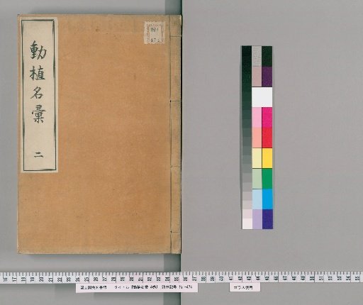 Compendium of Animal and Plant Names, 4 volumes [2]