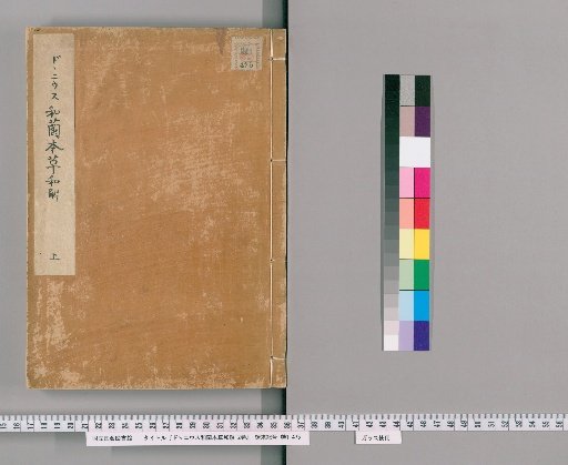 Dutch-Japanese Herbal Concordance of D'Annius, 2 volumes [1]