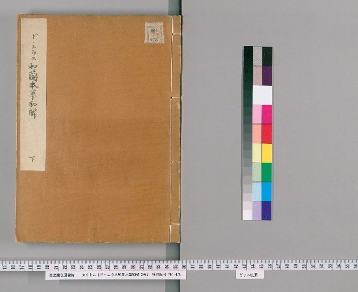Dutch-Japanese Herbal Concordance of D'Annius, 2 volumes [2]
