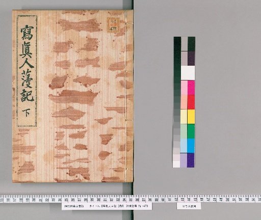 The Written Record of the Painted Portrait, 2 Volumes [2]