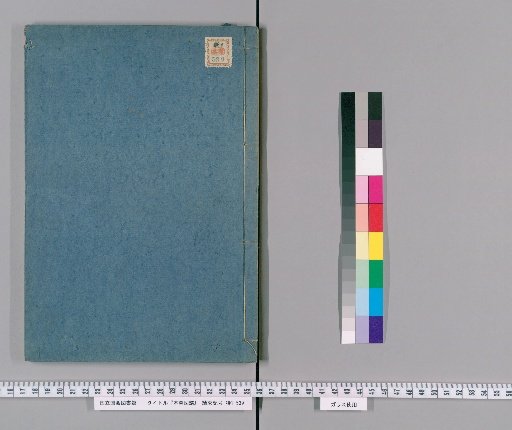 Herbal Illustrations, Volume 49
