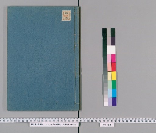 Illustrated Materia Medica, Volume 59