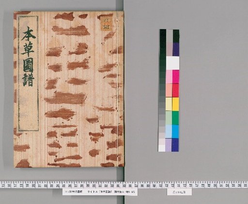 Herbal Illustrations, Volume 53