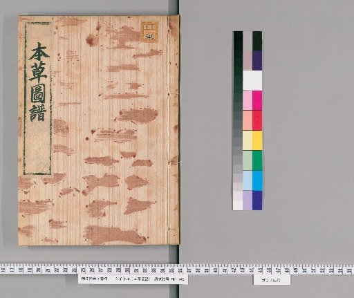 Herbal Illustrations, Vol. 64