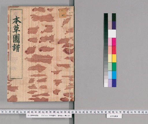 Illustrated Herbal, Volume 65