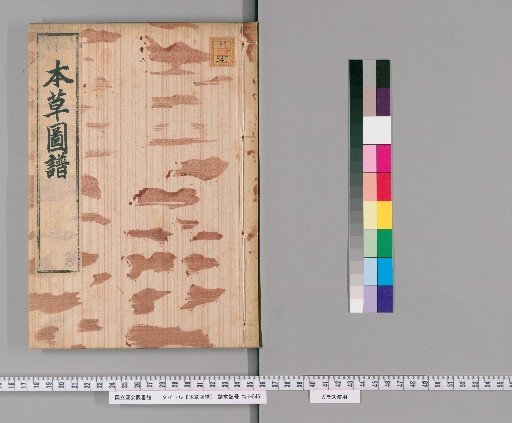 Herbal Illustrations, Volume 93