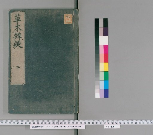 Doubts on Plants and Trees, Vol. 4 [3]