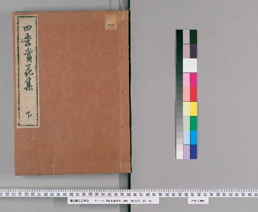 Collection of Seasonal Flower Appreciation, 2 volumes [2]